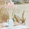A Touch Of Pampas Blush Pink Dried Bunny Tail Grass (20Pk)