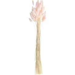 A Touch Of Pampas Blush Pink Dried Bunny Tail Grass (20Pk)