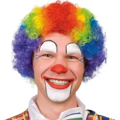 Afro Wig Rainbow
