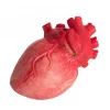 Bloody Heart Prop