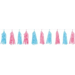 Blue & Pink Gender Reveal Foil Tassel Garland - 1.5M