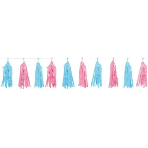 Blue & Pink Gender Reveal Foil Tassel Garland - 1.5M