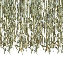 Botanical Baby Green Leaf Backdrop