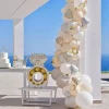 Champagne Bottle With Balloon Bubbles Arch - 70 Balloons