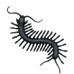 Creepy Creatures (6Pk)