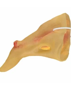 Crooked Witch Nose