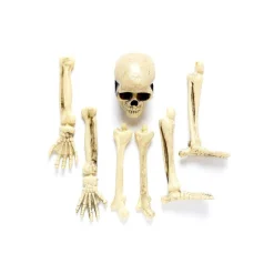 3D Skeleton Groundbreaker