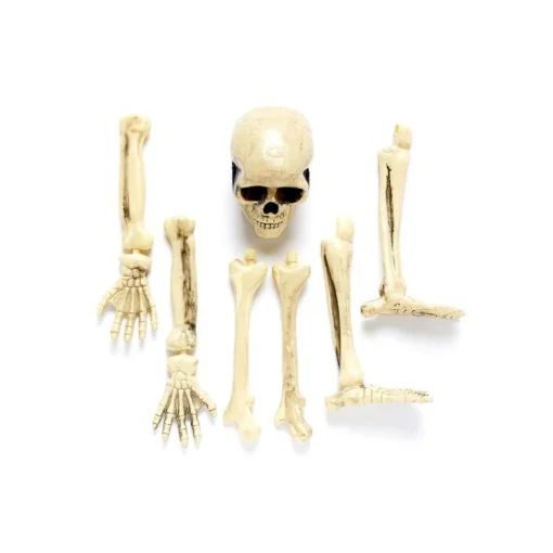 3D Skeleton Groundbreaker