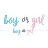 Gender Reveal Boy Or Girl Paper Banner - 2.13M