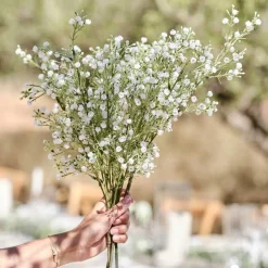 Gypsophilia Foliage Stems (5Pk)