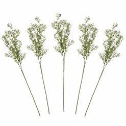 Gypsophilia Foliage Stems (5Pk)