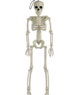 Large Skeleton Decoration