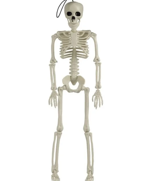 Large Skeleton Decoration