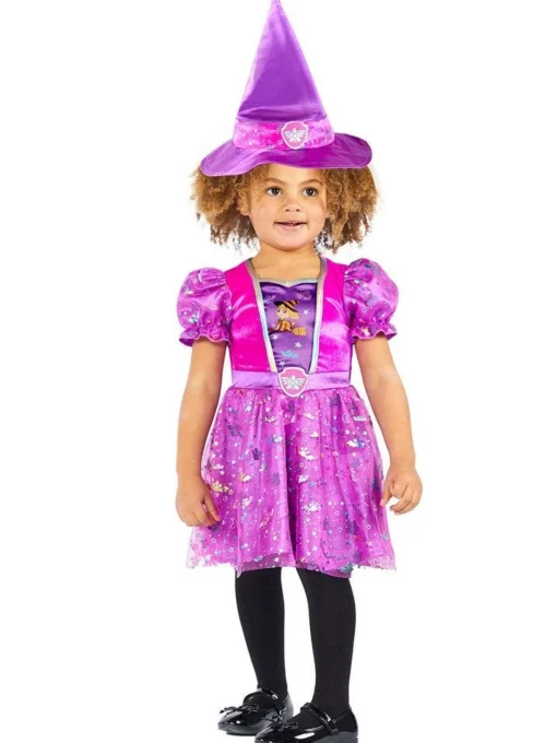 Paw Patrol Skye Witch - Toddler And Child Costume