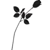 Rose Black