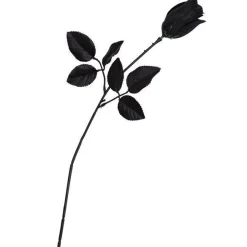 Rose Black