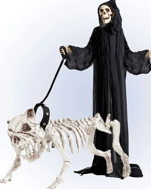 Skeleton Dog With Lead - 45Cm