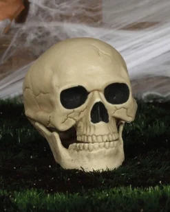 Skull - 20Cm