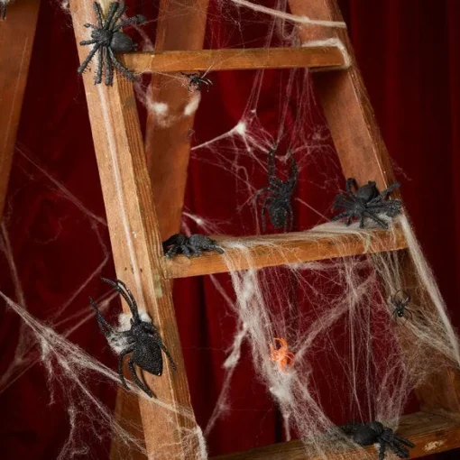 Spiders Web - 400Sq Ft